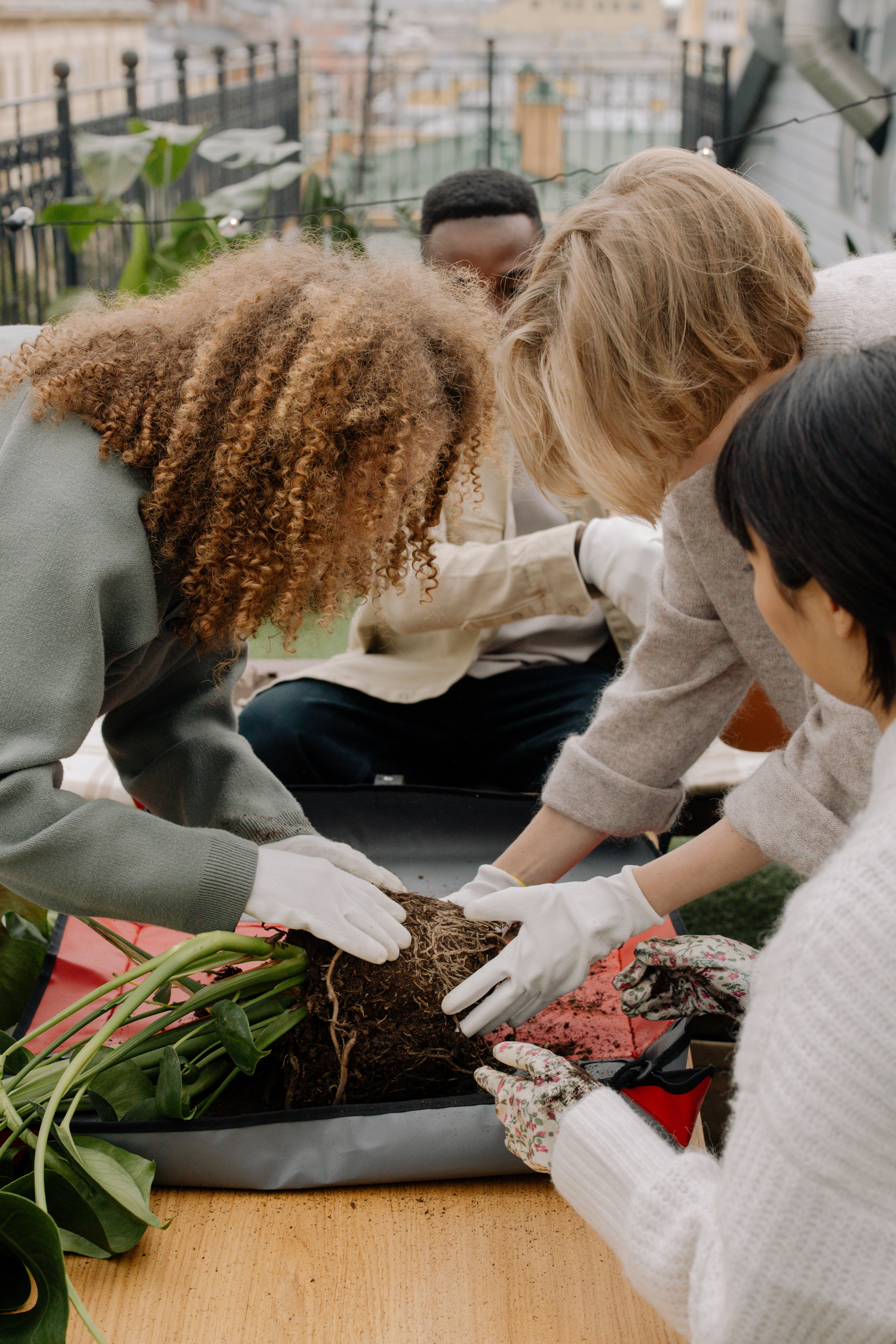 Gardening